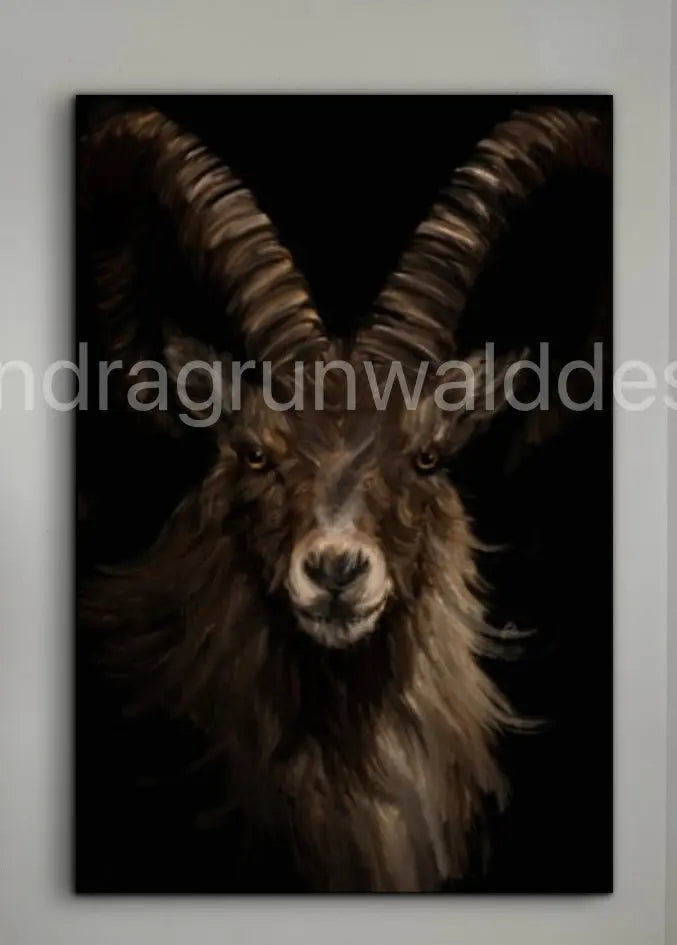 IBEX SANDRAGRUNWALDDESIGN